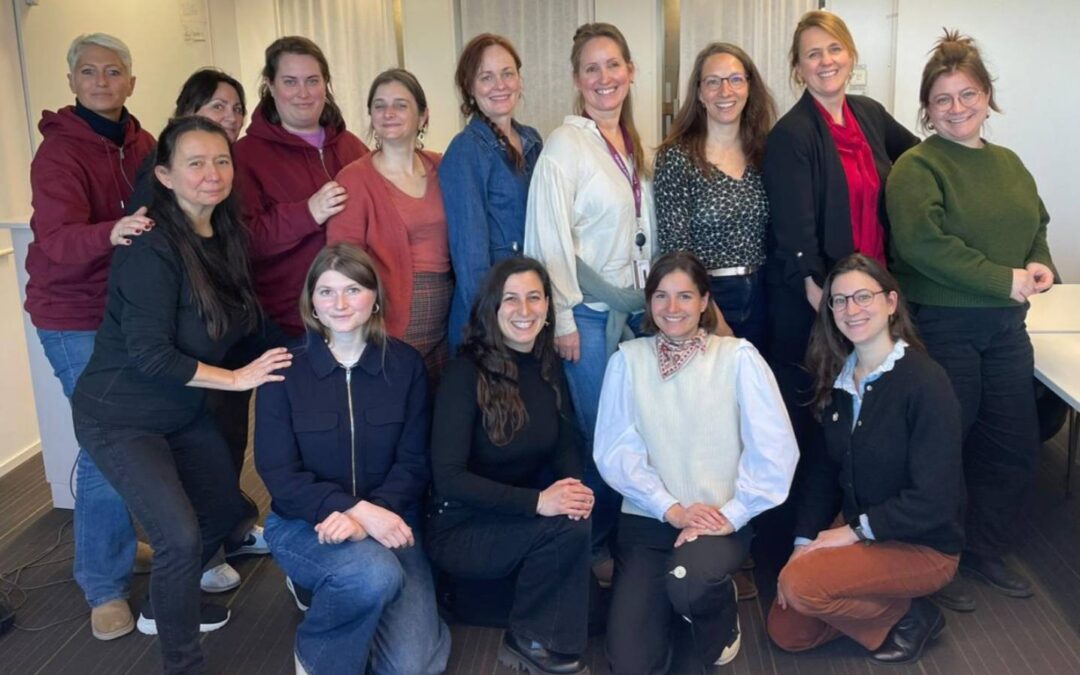 Hej ! Retour sur le voyage d’étude à Stockholm : un projet collectif du département de maïeutique